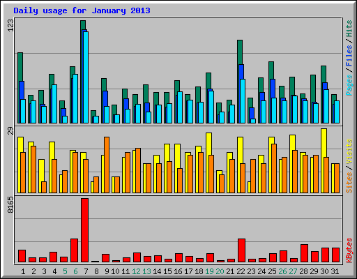 Daily usage for January 2013