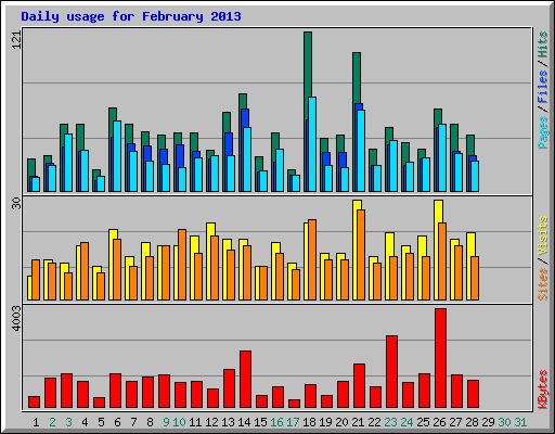 Daily usage for February 2013