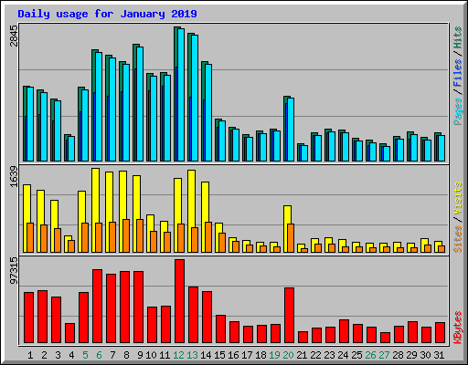 Daily usage for January 2019