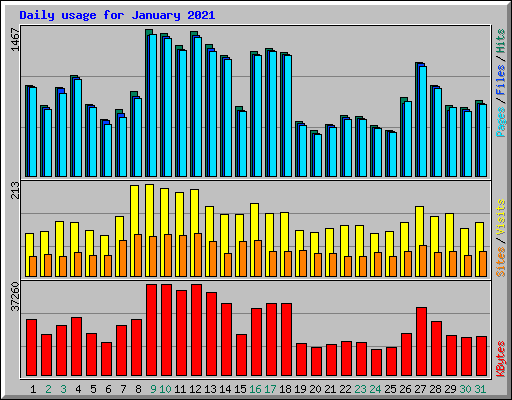 Daily usage for January 2021