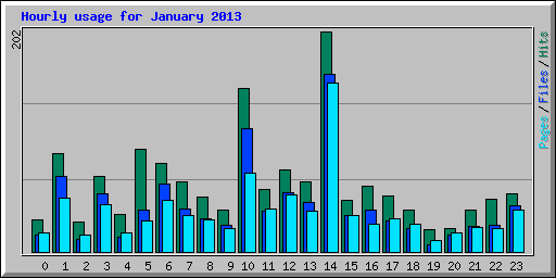 Hourly usage for January 2013