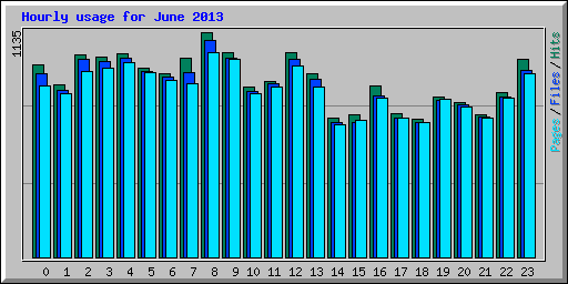 Hourly usage for June 2013