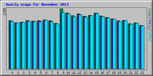 Hourly usage for November 2013