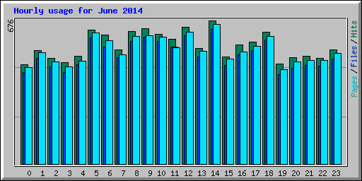 Hourly usage for June 2014