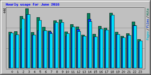 Hourly usage for June 2016