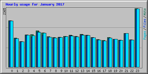 Hourly usage for January 2017