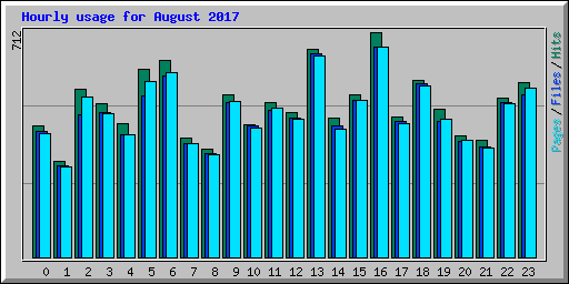 Hourly usage for August 2017