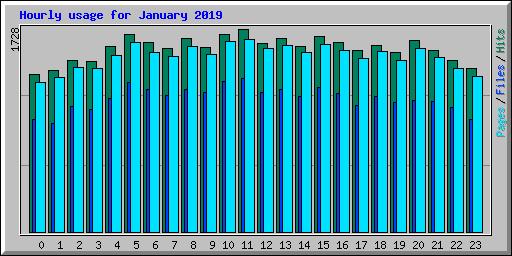 Hourly usage for January 2019