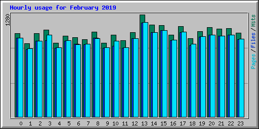 Hourly usage for February 2019